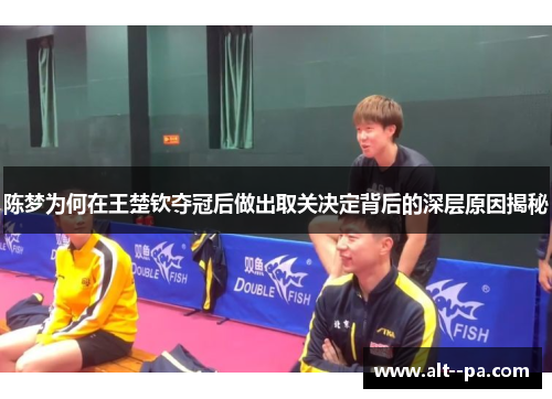 陈梦为何在王楚钦夺冠后做出取关决定背后的深层原因揭秘